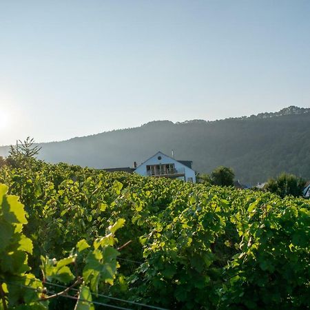 Weingut Johanneshof Minheim Exteriör bild