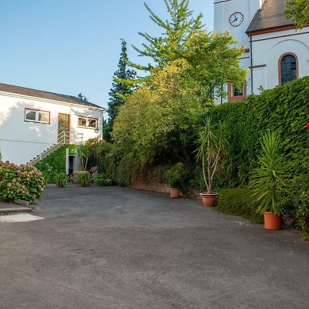 Weingut Johanneshof Minheim Exteriör bild