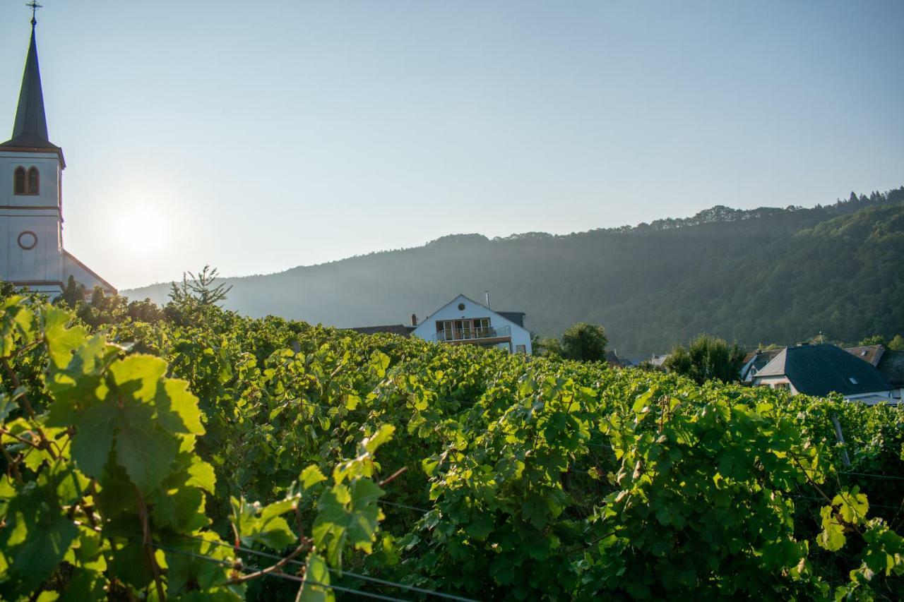 Weingut Johanneshof Minheim Exteriör bild