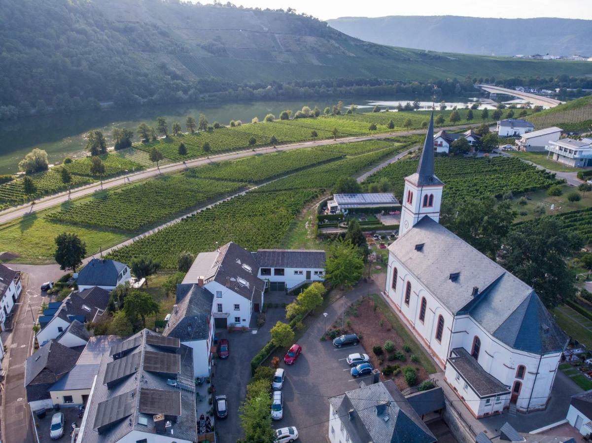 Weingut Johanneshof Minheim Exteriör bild