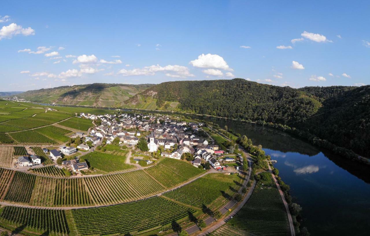 Weingut Johanneshof Minheim Exteriör bild