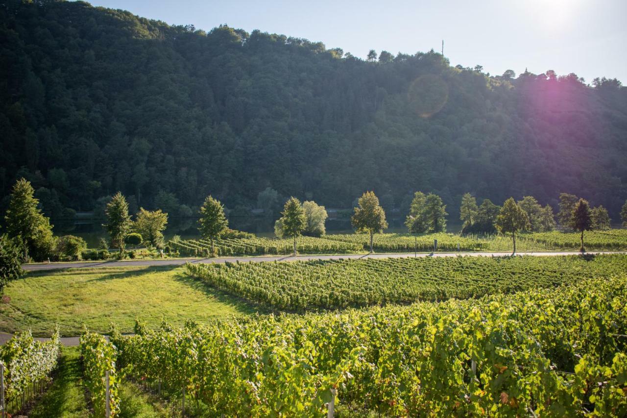 Weingut Johanneshof Minheim Exteriör bild